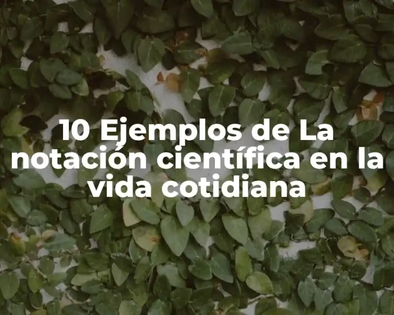 10 Ejemplos de La notación científica en la vida cotidiana