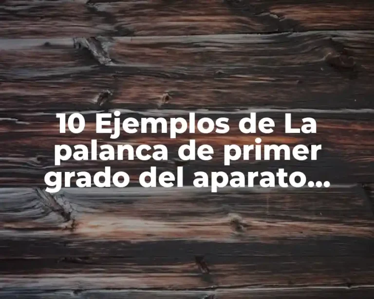 10 Ejemplos de La palanca de primer grado del aparato locomotor
