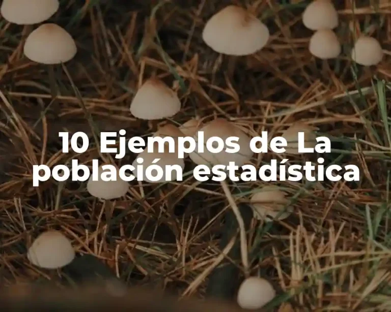 10 Ejemplos de La población estadística