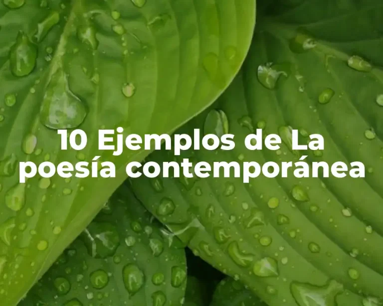 10 Ejemplos de La poesía contemporánea