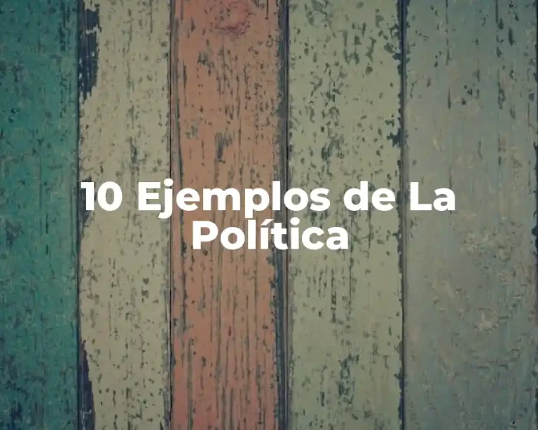 10 Ejemplos de La Política