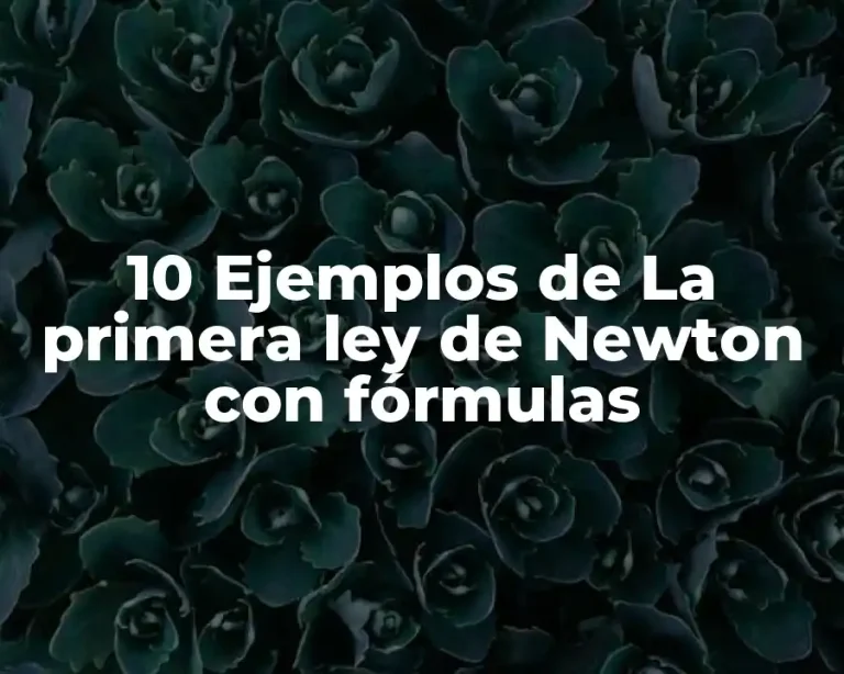 10 Ejemplos de La primera ley de Newton con fórmulas