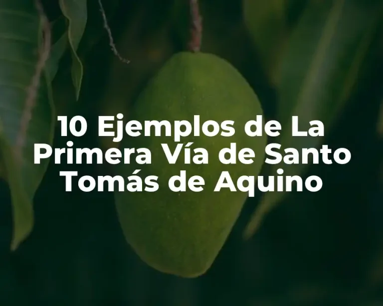 10 Ejemplos de La Primera Vía de Santo Tomás de Aquino