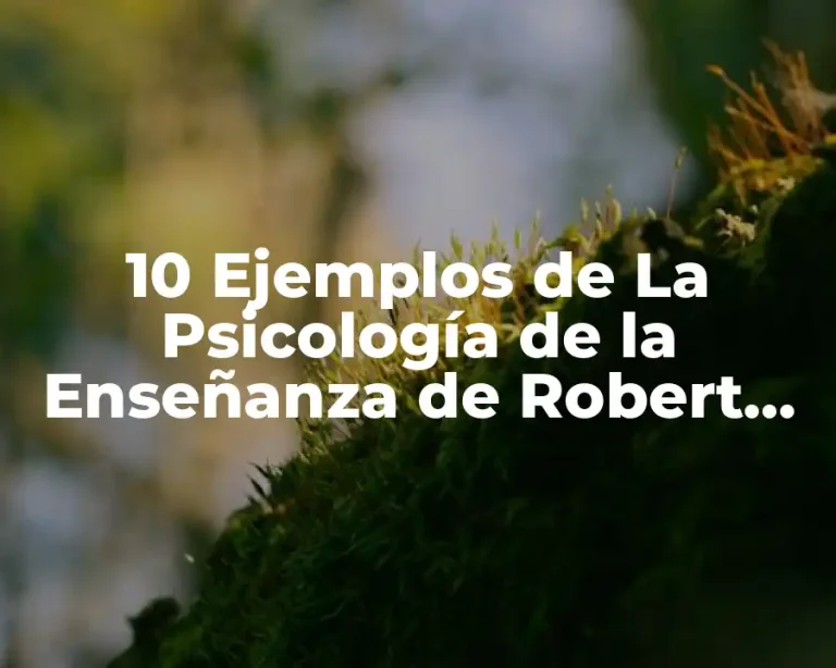 10 Ejemplos de La Psicología de la Enseñanza de Robert Glaser