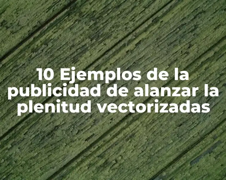 10 Ejemplos de la publicidad de alanzar la plenitud vectorizadas