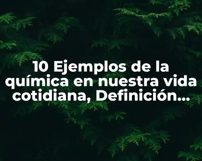 10 Ejemplos de la química en nuestra vida cotidiana, Definición, Diferencias y para que sirve
