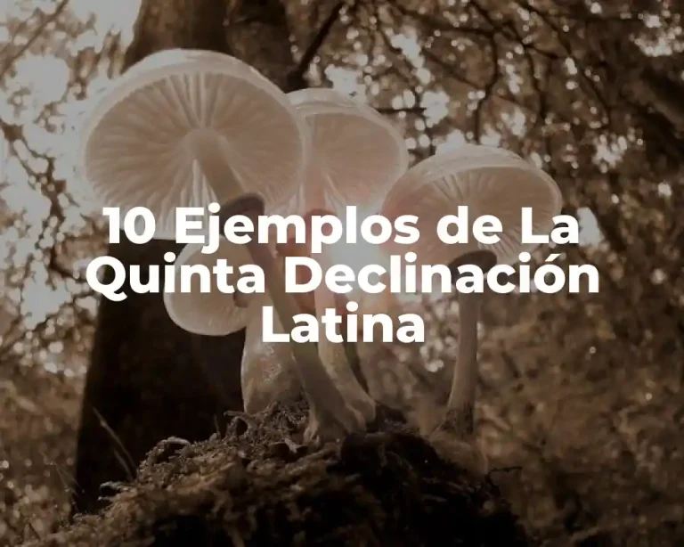 10 Ejemplos de La Quinta Declinación Latina