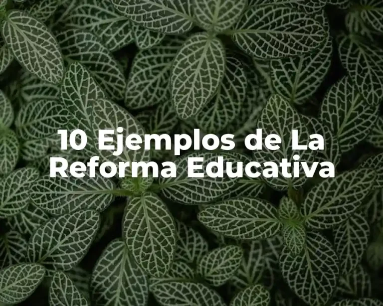 10 Ejemplos de La Reforma Educativa