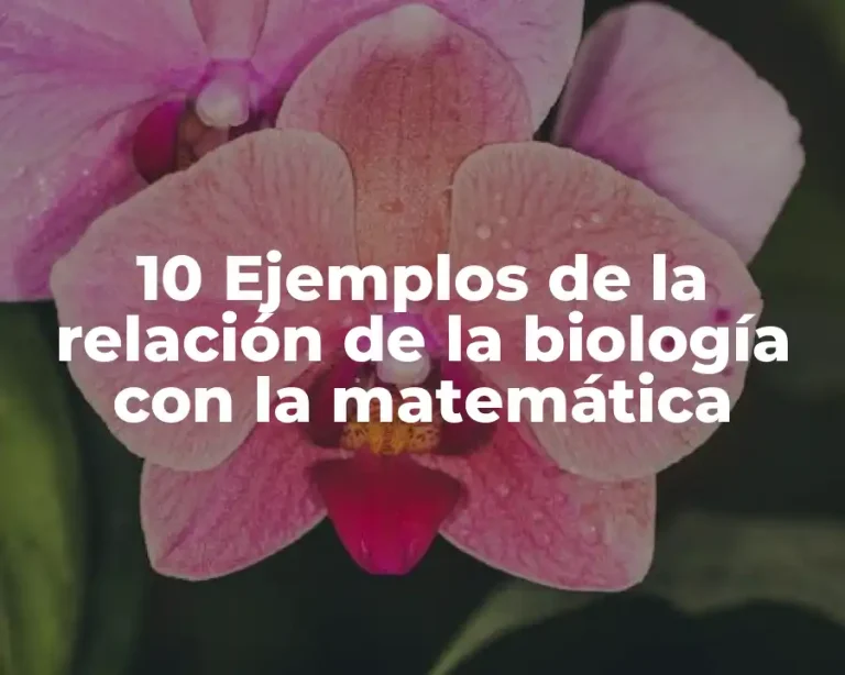 10 Ejemplos de la relación de la biología con la matemática