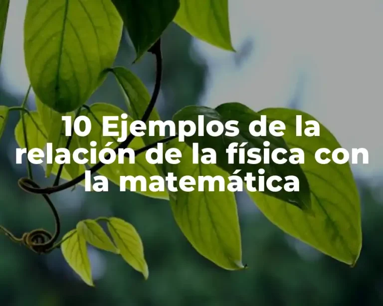 10 Ejemplos de la relación de la física con la matemática