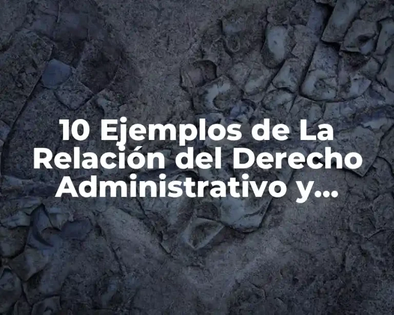 10 Ejemplos de La Relación del Derecho Administrativo y Electoral, Definición, Diferencias y para que sirve