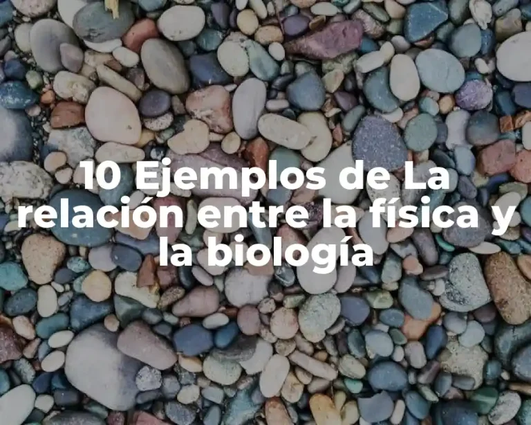 10 Ejemplos de La relación entre la física y la biología