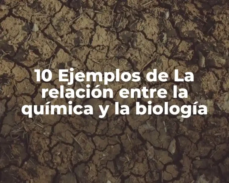 10 Ejemplos de La relación entre la química y la biología
