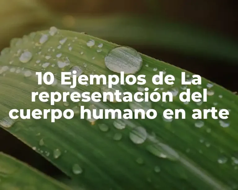 10 Ejemplos de La representación del cuerpo humano en arte