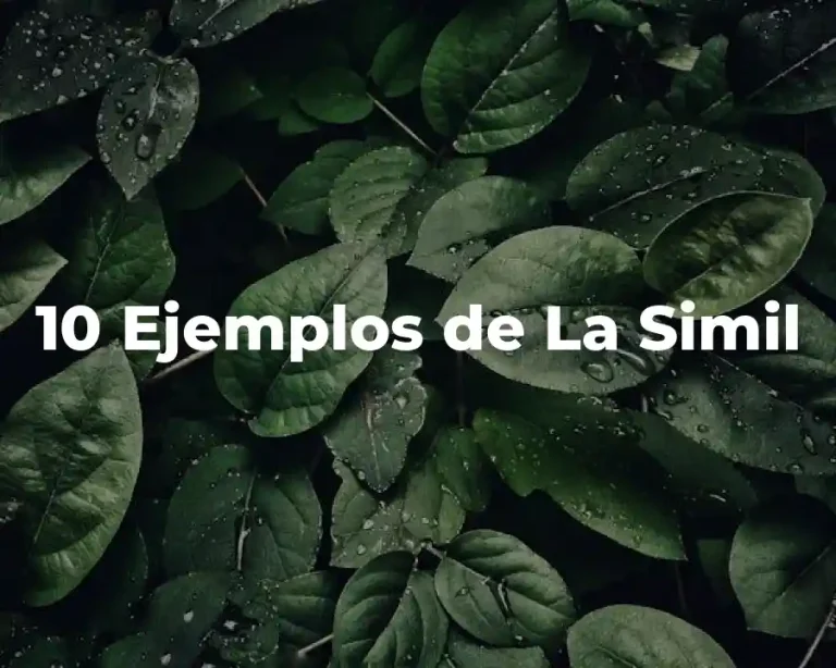 10 Ejemplos de La Simil