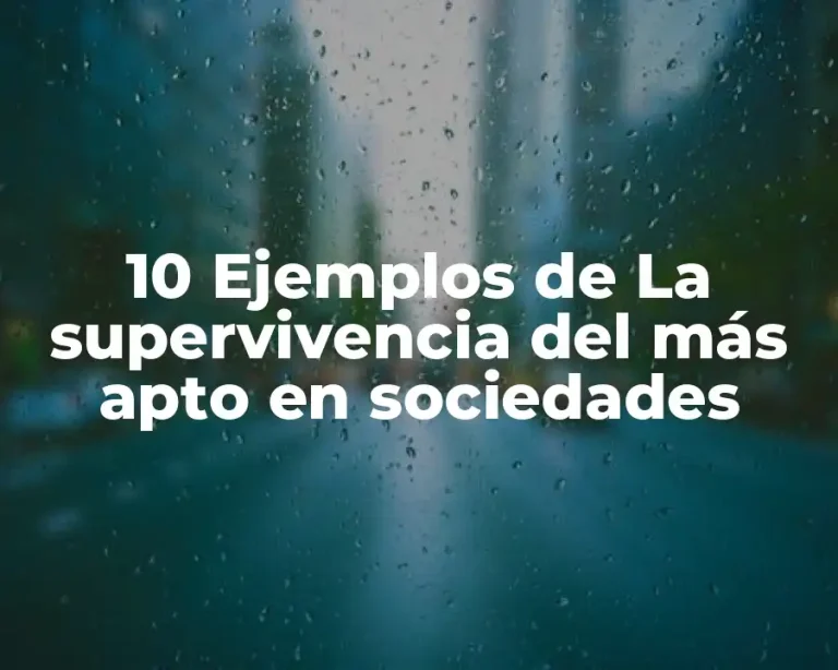 10 Ejemplos de La supervivencia del más apto en sociedades