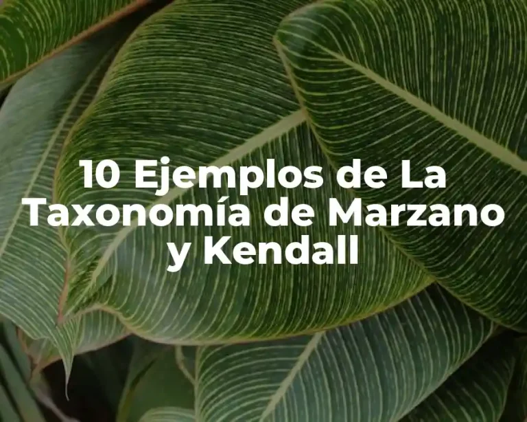 10 Ejemplos de La Taxonomía de Marzano y Kendall