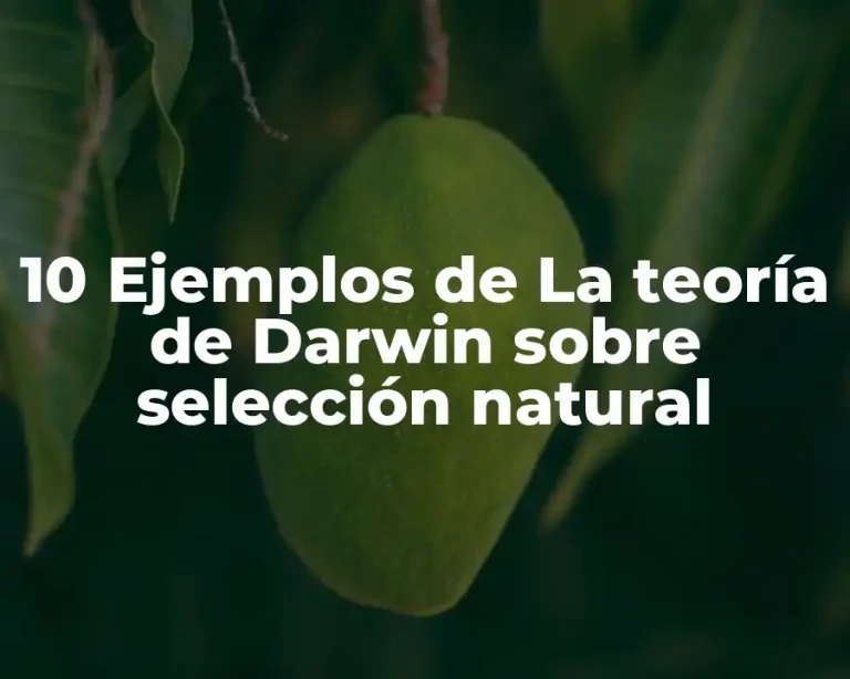 10 Ejemplos de La teoría de Darwin sobre selección natural