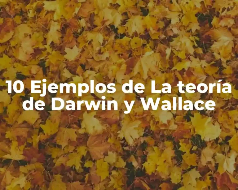10 Ejemplos de La teoría de Darwin y Wallace