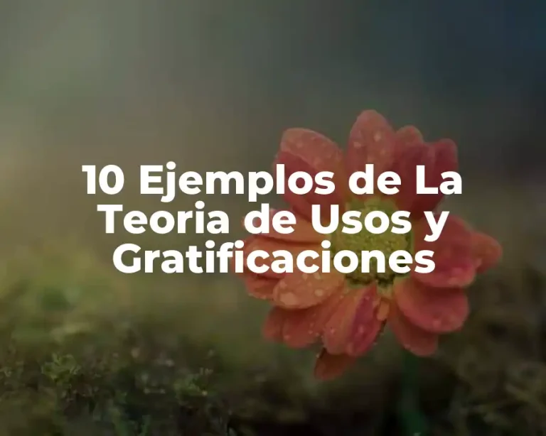 10 Ejemplos de La Teoria de Usos y Gratificaciones