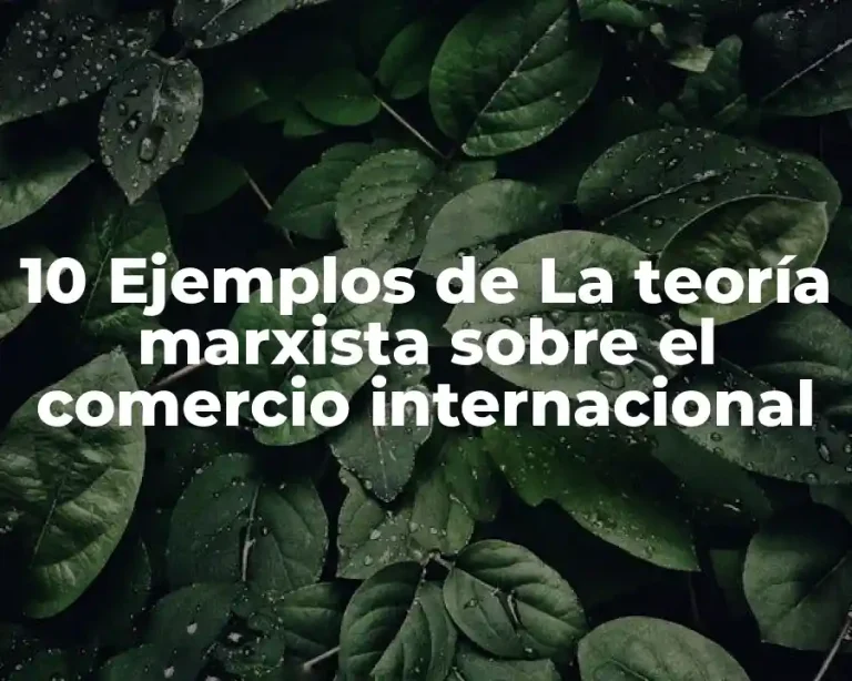 10 Ejemplos de La teoría marxista sobre el comercio internacional