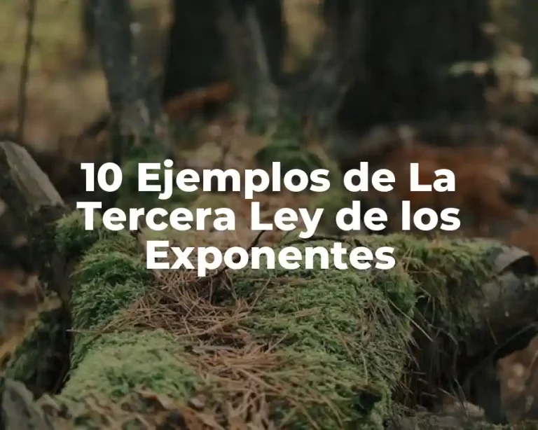 10 Ejemplos de La Tercera Ley de los Exponentes