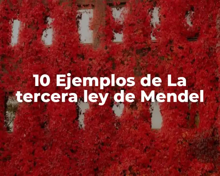 10 Ejemplos de La tercera ley de Mendel