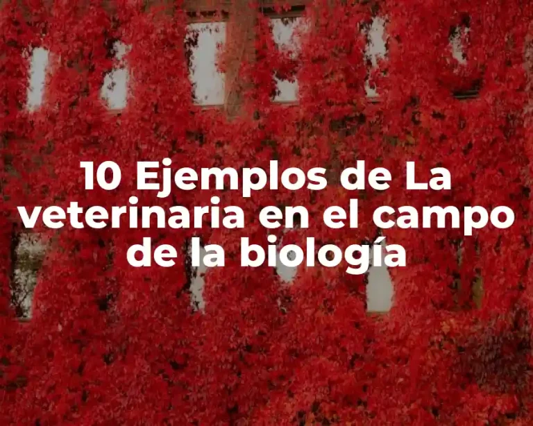 10 Ejemplos de La veterinaria en el campo de la biología