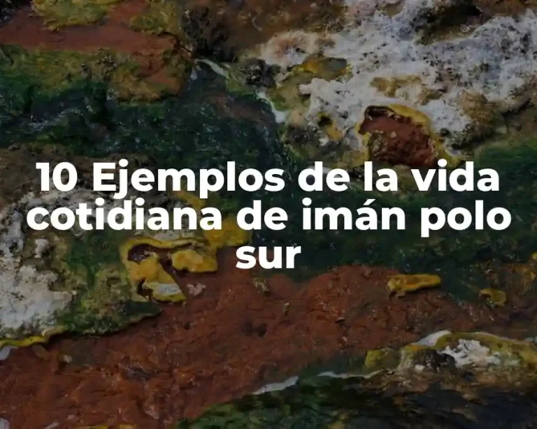 10 Ejemplos de la vida cotidiana de imán polo sur