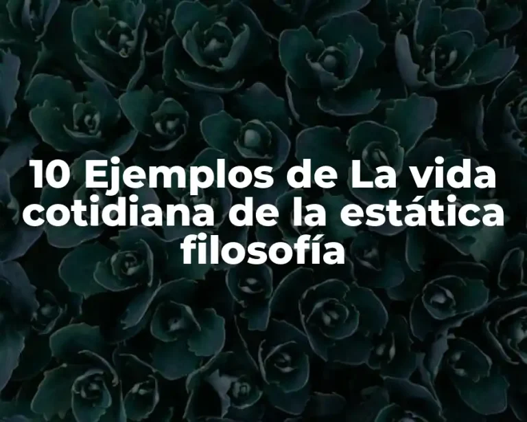 10 Ejemplos de La vida cotidiana de la estática filosofía