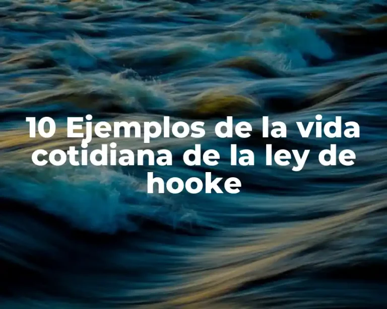 10 Ejemplos de la vida cotidiana de la ley de hooke