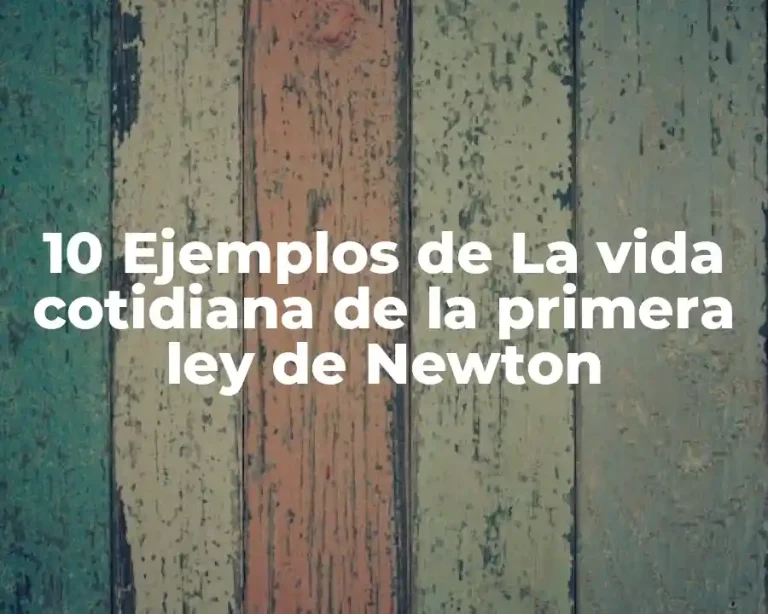 10 Ejemplos de La vida cotidiana de la primera ley de Newton