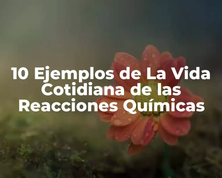 10 Ejemplos de La Vida Cotidiana de las Reacciones Químicas