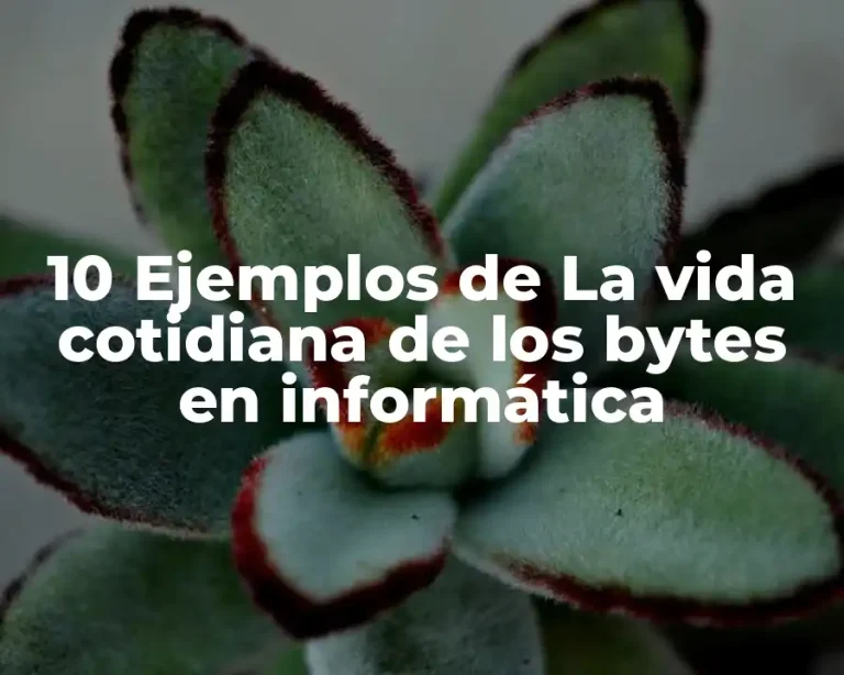 10 Ejemplos de La vida cotidiana de los bytes en informática