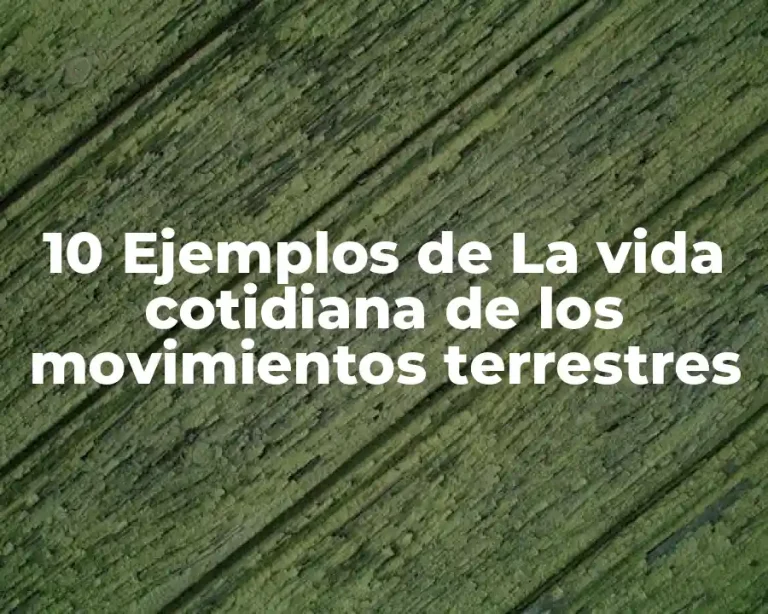10 Ejemplos de La vida cotidiana de los movimientos terrestres