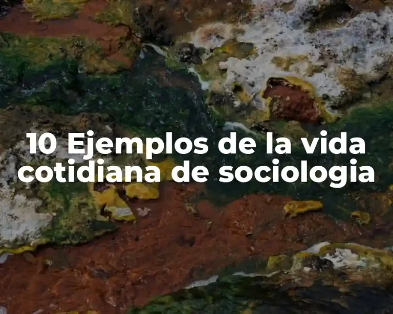 10 Ejemplos de la vida cotidiana de sociologia