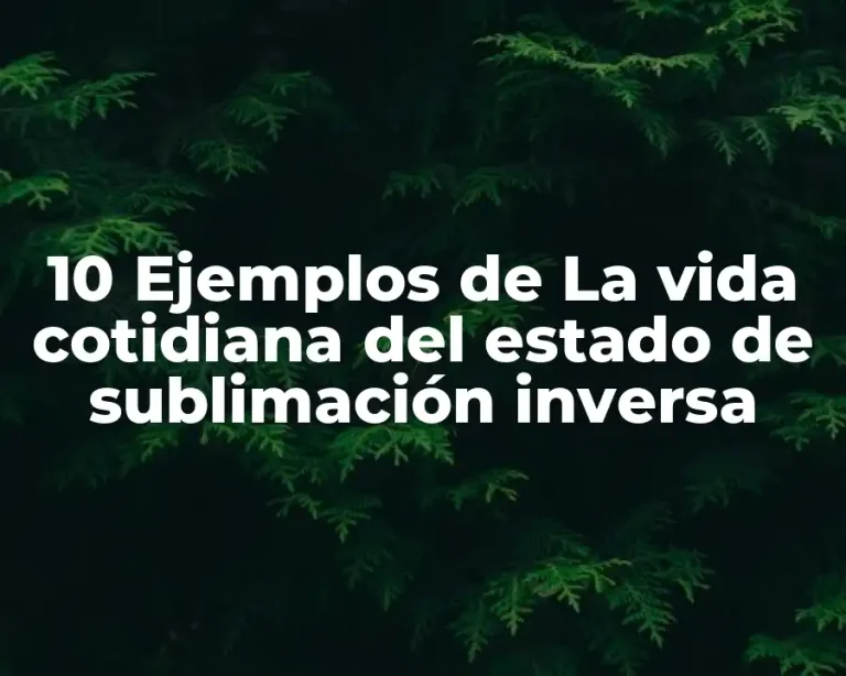 10 Ejemplos de La vida cotidiana del estado de sublimación inversa