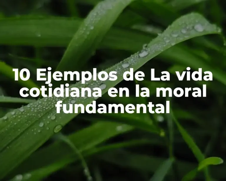 10 Ejemplos de La vida cotidiana en la moral fundamental