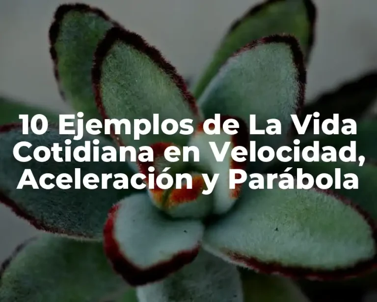 10 Ejemplos de La Vida Cotidiana en Velocidad, Aceleración y Parábola