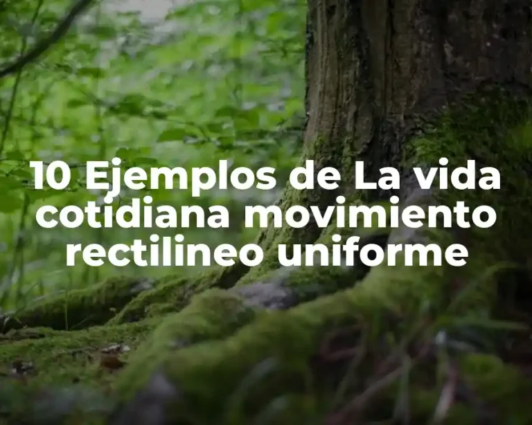 10 Ejemplos de La vida cotidiana movimiento rectilineo uniforme