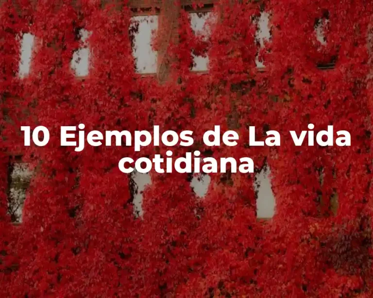 10 Ejemplos de La vida cotidiana