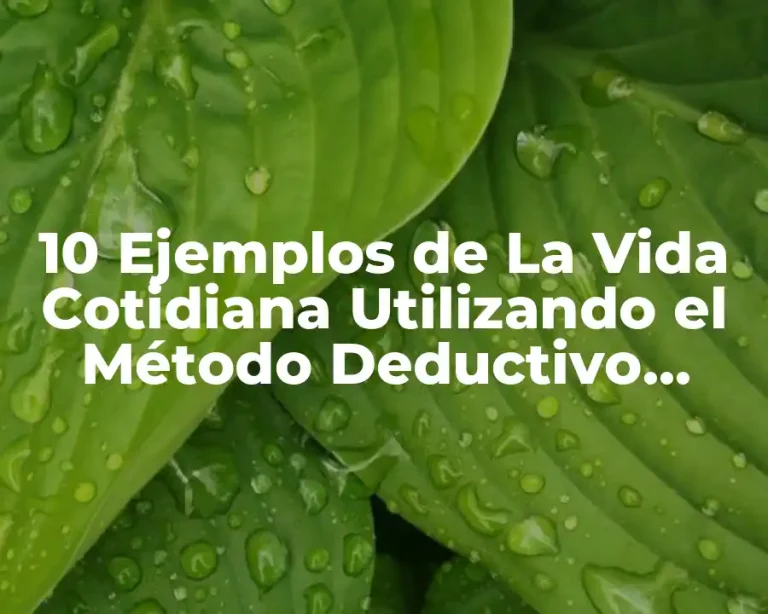 10 Ejemplos de La Vida Cotidiana Utilizando el Método Deductivo Directo
