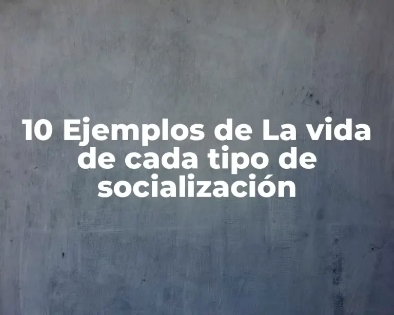10 Ejemplos de La vida de cada tipo de socialización