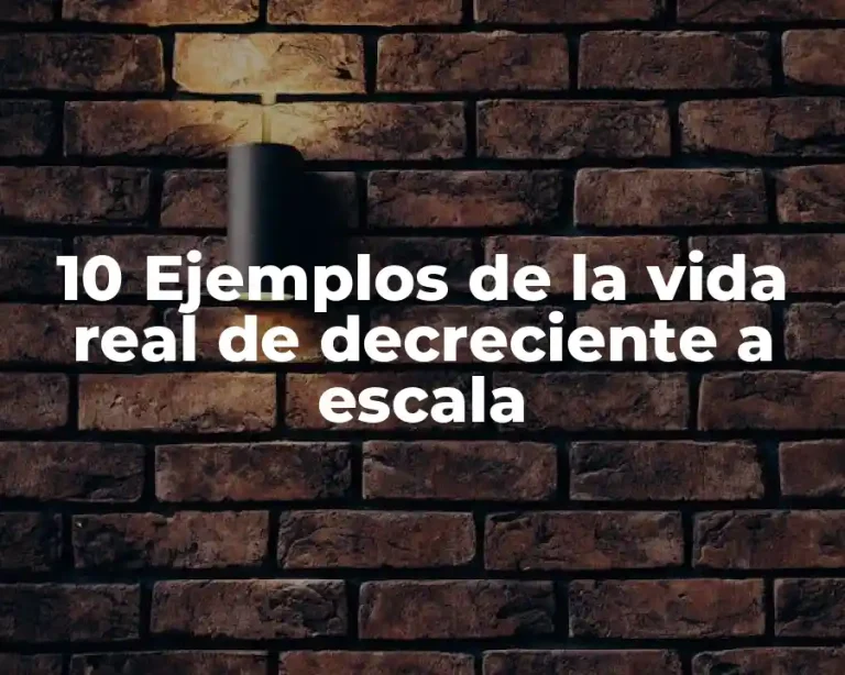 10 Ejemplos de la vida real de decreciente a escala