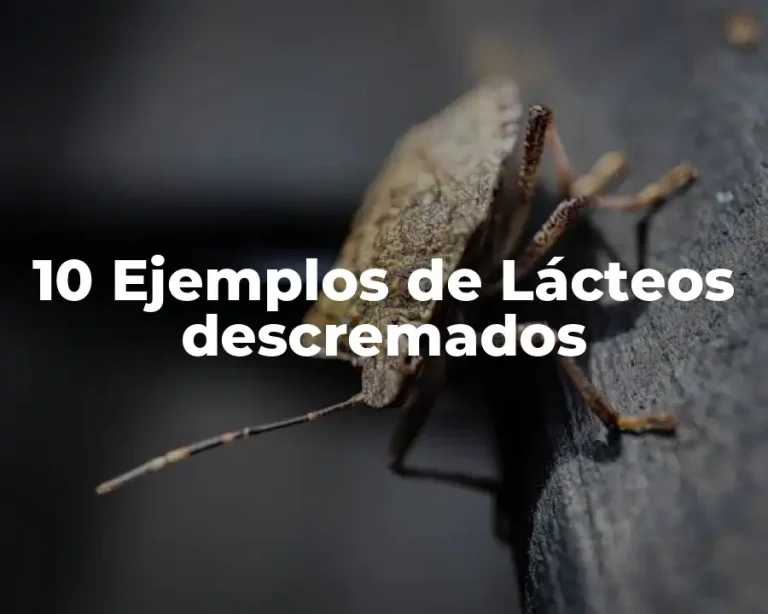 10 Ejemplos de Lácteos descremados