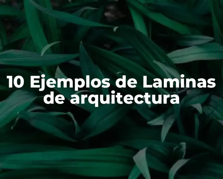 10 Ejemplos de Laminas de arquitectura