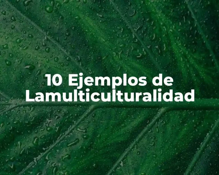 10 Ejemplos de Lamulticulturalidad