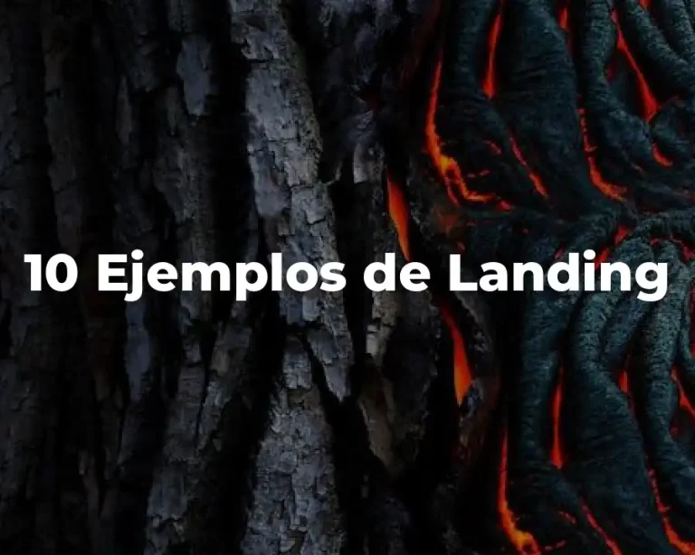 10 Ejemplos de Landing