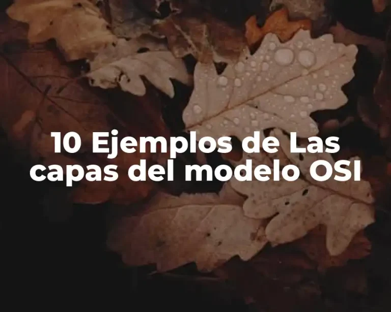 10 Ejemplos de Las capas del modelo OSI