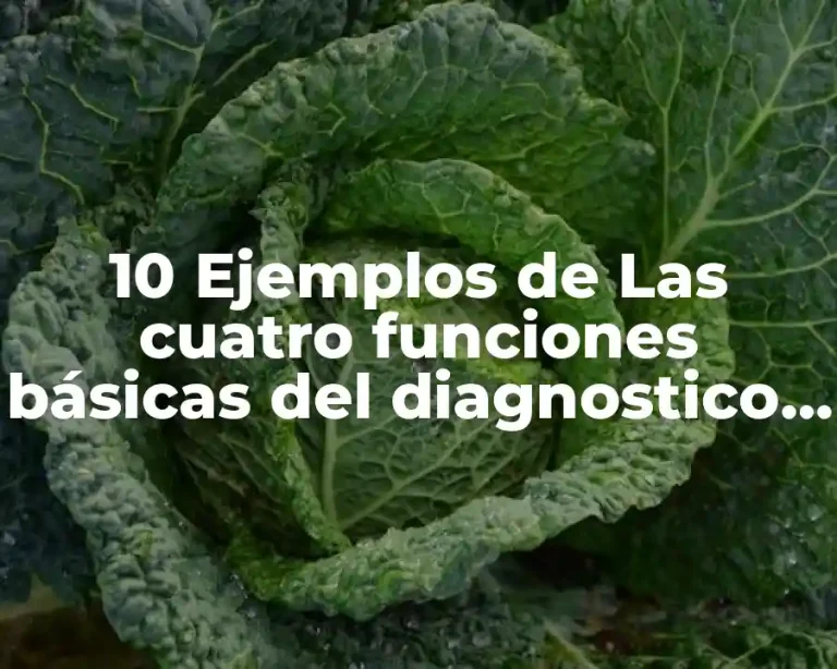 10 Ejemplos de Las cuatro funciones básicas del diagnostico psicopedagógico
